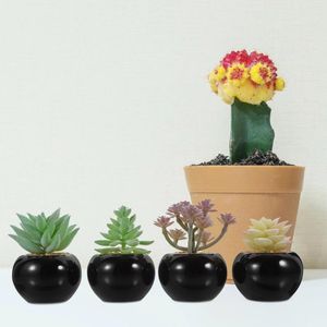 Fiori decorativi 4 pezzi ornamenti simulato Bonsai Funta pianta in PVC Miniatura decorazione succulenta in vaso