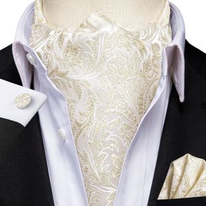 Hitie Silk Beige Kahaki Mens Ascot Tie Hankerchief Cufflinks Set Jacquard Woven Cravat for Mal Groom Wedding Business Event