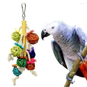 Andra fågelförsörjningar 1 st papegoja leksak färgglad rotting boll tugga hängande bo bur leksaker