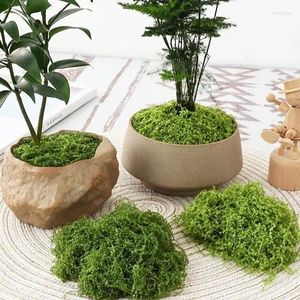 Dekorativa blommor Simulerade Moss Turf Biomimetic Artificial Micro Landscape Layout Decoration Lawn Bonsai Potted Plant Paving Land