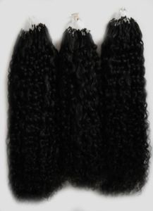 Mongolisk kinky lockigt hår Mikroring Hårförlängning 300G Natural Color Human Hair Extensions Micro Loop 1G3223645