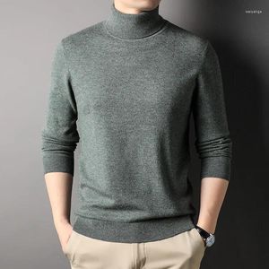 Men's Sweaters 2024 Autumn Winter Men Cashmere Soft Pullovers Man Turtleneck Pure Wool