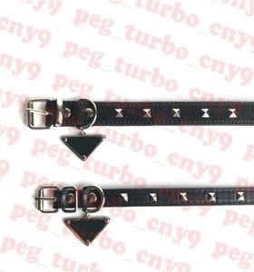 Hunde Lederkragen Haustiere Leinen Designer Hundekragen Verstellbare Halskette Metalldreieck Logo Haustier LEASH4093387