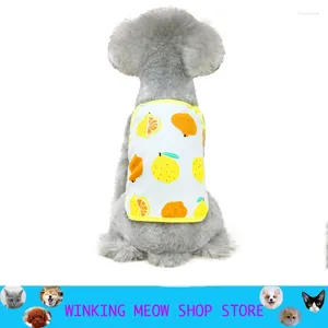 Vestuário para cães roupas de frutas fofas primavera e pullover de cachorro de verão, colete respirável do que suprimentos de camisola do sol do sol do pet sun