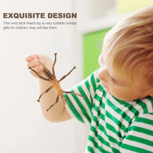 プラスチック製の置物スティック昆虫モデルマリポサ装飾装置パラ削り学習おもちゃ
