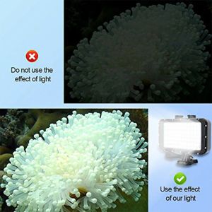 Câmeras 5000lux Sport Camera Action LED Acessórios para fotografia subaquática 50m Luz de vídeo ao ar livre de mergulho à prova d'água para GoPro