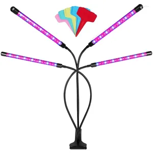 Grow Lights For Indoor Plants - Full Spectrum Plant Light With 3/9/12H Timer Growth US Plug