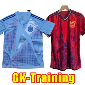 Hiszpania World Soccer Jerseys 2024 National Man Rodrigo Canales Ansu Fati Ramos Saul Koke Asensio Morata Football Shirt Fan Wersja Bramkarz