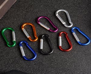 Carabiner Ring Keyrings Key Chain Outdoor Sports Camp Snap Clip Hook Keychains Hiking Aluminum Metal Stainless Steel Hiking Campin9973159