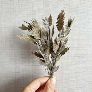 Decorative Flowers 12&24PC/5-15CM Real Natural Plant Dried Xiaopan Grass Branches DIY Small Briza Media Bundle For Epoxy Resin Jewellery