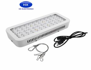 Nyligen 600W Full Spectrum LED Grow Light 600W Double Chips LED Grow Lights Indoor Plants Lamp för blomning och odling4236144