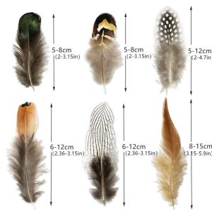 24/50 Pieces 5-15CM Multi-Style Natural Peacock Pheasant Feather Crafts Jewelry Making Accessories Decorative Feather Wholesale