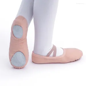 Dance Shoes Female Ballet Performer Children's Flat Practice Soft Sole Canvas Training