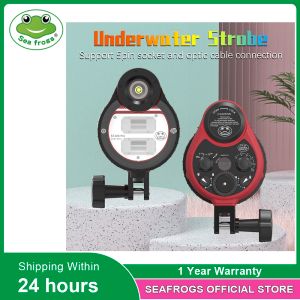 Câmeras Seafrogs ST100 Pro Impermeável Flash Strobe para A6500 A6000 A7 II RX100 I/II/III/IV/V Caixas de câmera subaquáticas Caixas de mergulho