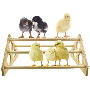 Chicken Roosting Bar Handmade Wooden Bird Stand Training Toy Swing Ladder Pet Playing Accessories