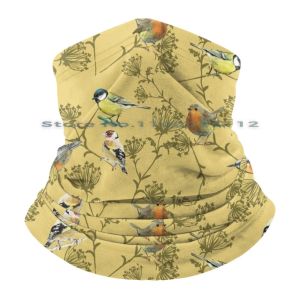 Copy Of Garden Birds , Spring Beanies Knit Hat Songbirds Blue Tit Robin Nuthatch Chaffinch Garden Trees Forest Nest Nature Feed