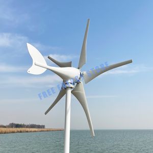 新しい到着フリーエネルギー6ブレード1000W 12V 24V風力タービンジェネレーター風車