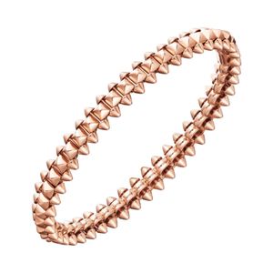 Designer Charm Carter Bullet 925 Sterling Silver Plated 18K Rose Gold Willow Nail Armband Fashionabla och Versatile Light Luxury