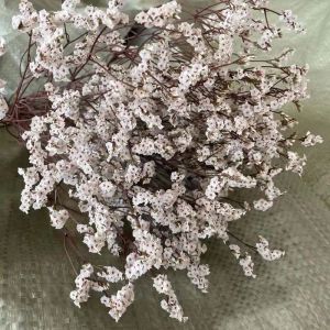 35 ~ 42 cm/60g kristallgräs naturligt färskt torkat bevarade glömma blommor, verklig för alltid älskare gräs för heminredning