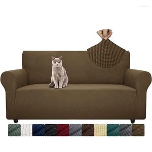 Stuhlabdeckungen Stretch Couch Deckungssofa für Wohnzimmer Hunde Freundschaftsmöbel Beschützer ausgestattet Spandex Slip Covers mit Anti -Slip