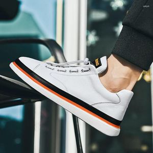 Casual Shoes 2024 Summer Mens Fashion Classic Board Urban Comfortable Low Top Walking Sneakers