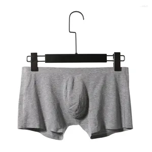 Underbyxor män underkläder sexig modal andningsbara mjuka boxare män u konvex påse shorts cueca homme sömlösa manliga trosor