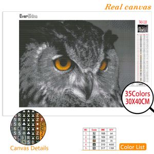 Evershine 5D Diamond Målning Owl Nyanrända Full Square Cross Stitch Diamond Embroidery Animal Rhinestones Bildhemdekor