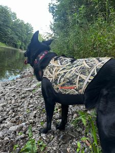 Bassdash Dog Camo Neoprene Colete ajustável Proteção à prova d'água