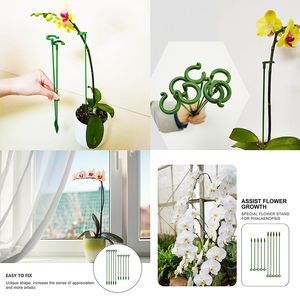 10pcs Schmetterlinge Orchideen Pflanzenstütze Steck Sukkulenten Blumenfaser -Ständer Pflanzenstangenstangen Gartenpflanzen Pfähle