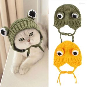 Cappelli da abbigliamento per cani per gatti carini cappelli da pet calda comodo copricapo di gattino in costume divertente per animali domestici con la testa indossare caap