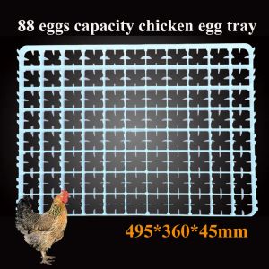 1pcs Eierschale für Inkubator Automatische Gänsepaare Enten Wachtel Egg China Incubadora Teile Geflügelzubehörzubehör Lieferungen