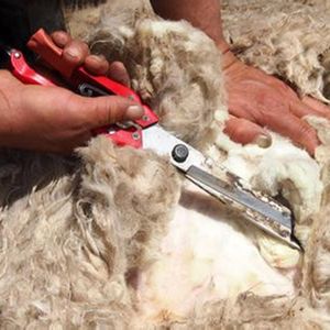 Fårklippare ullskärare SHAR GOAT SEXORS SHEARS SPRING SEXORS PET CUT Hår Wool Clipper Shear Shearing Machines Tools Tools