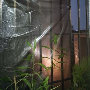 0.26mm透明なグリッドターポリンバルコニーアウトドアガーデンレインプルーフ布プラスチック製シート花と植物日焼け止めキャンバス