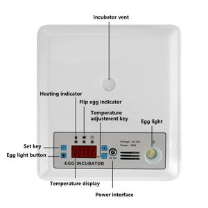 Automatico Intelligent Egg Incubator Farm 16 Ogg Hatchery Machine Digital Farm Chicken Chicken Goose Quaglia Incubator Iggancio di uova