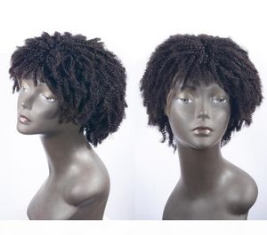 Kurzer afro gekinky locky volle Spitze menschliches Haar Perücken unverarbeiteter brasilianische glühlose menschliche Haarspitzen -Vorderperücke mit Pony Hair1531125