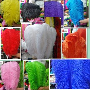 big pole ostrich feather feathers 5 pcs 60-65 cm/24-26 inches natural feather for wedding decorations