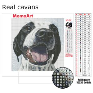 Momoart Diamond Paining Dog Border Collie Crinestones Picture Diamond Haft haftowe zwierzę Mosaic Cross Cross Cross Decor Wall Teck