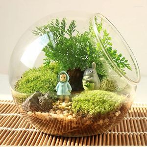 Vases Micro Landscape Slant Mouth Glass Vase High Transparent Succulent Moss Aquascape Decorative Bottle