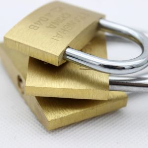 1Pcs Same Key Copper Padlock Wolf Head Brass Small Locks Door 20mm 25mm 30mm 40mm Not Rust Lock Core Include 6 Keys