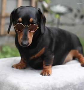 Hundekleidung Doggy Sonnenbrille Sonnenschirme für diesen super coolen Aussehen perfekt kleinere Hunde und Katzen