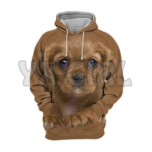 Animali Cani Cavalier King Charles Spaniel Adorabili felpe con stampa 3D Pullover unisex Felpa con cappuccio per cani divertente Tuta da strada casual