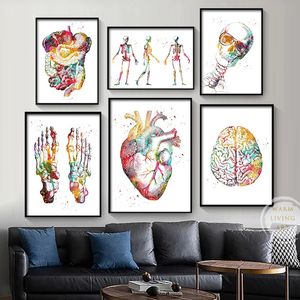 CURCHIO HUMAN CERCHIO polmoni cerebrali anatomia ad acquerello art tela dipinto di anatomia poster art sclepspli