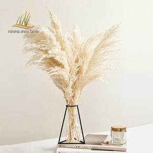 Pampas gräsdekor vit färg fluffig naturtorkad blommor blekt bukett boho vintage stil för bröllop hem juldekor 22110