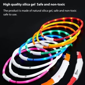 LED USB Dog Collar USB RECHARGEABLE FLASHING NATT SAILD SÄKERHETSLAGAR FÖR VALPEN DUGAR Glödande lysande halsband Pet Accessoarer