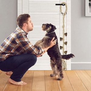 Husdjursträning klocka samtal för hund eller för cat dog träning spel som pratar potträning för hundar går utanför/ potten