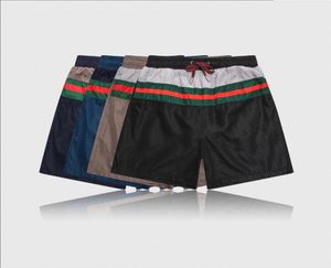 2020 Sommer Badebekleidung Strandhosen Herren Board Shorts Black Men Surf Shorts Small Horse Bad Trunks Sport Shorts9659289