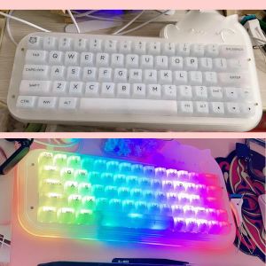 Klavyeler Sevimli Kedi Kablolu Mekanik Klavye DIY Kiti 64 Anahtarlar Sıcak Değiştirilebilir RGB Aydınlatma Efektleri Özel USBC PCB Kılıf PC Oyun Dizüstü Bilgisayar