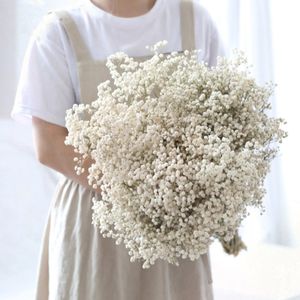 Natural Gypsophila Baby Breath Dried Flower Bouquet Valentine Day Gift Wedding Party Decoration bevarad Paniculata Heminredning 240409