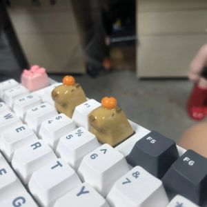 Tillbehör MIFUNY Anpassad söt Capybara KeyCap 3D -harttangentbordslock Anime Key Cap Kawaii Key Cap för mekaniska tangentbordstillbehör gåva