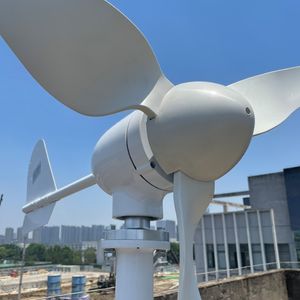 5000W Free Energy Wind Turbine Generator 48V 24V 12V 6 Blad med MPPT/laddningskontroller Vindkvarnar RV Yacht Farm för hemmabruk